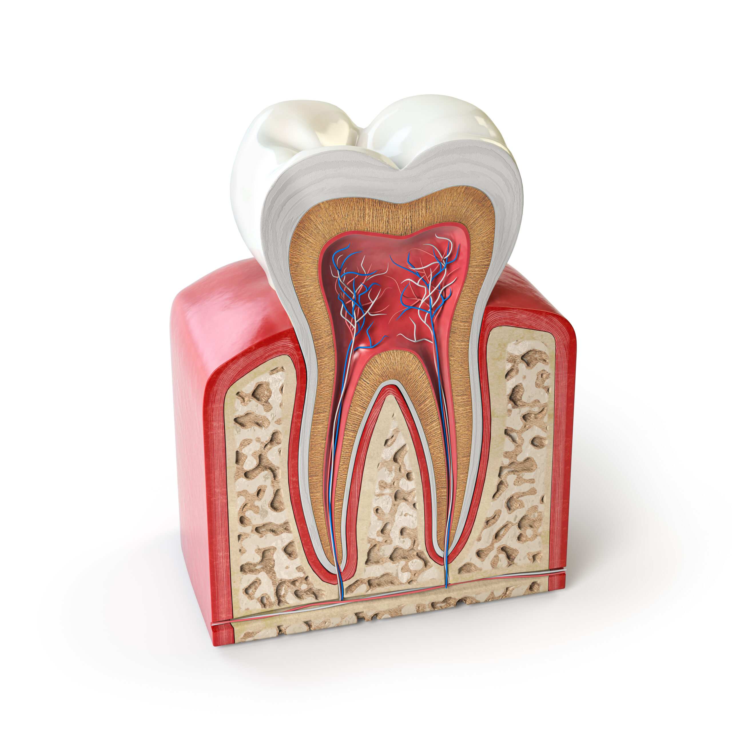 Everything You Need to Know About Root Canal Treatment: A Step-by-Step Guide